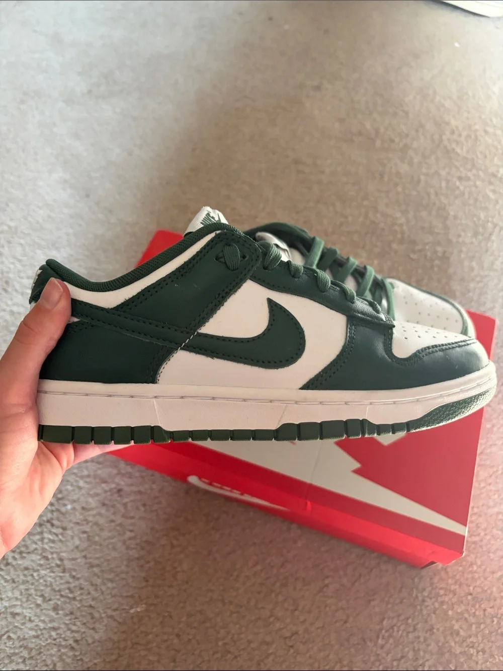 Nike Michigan State Dunks